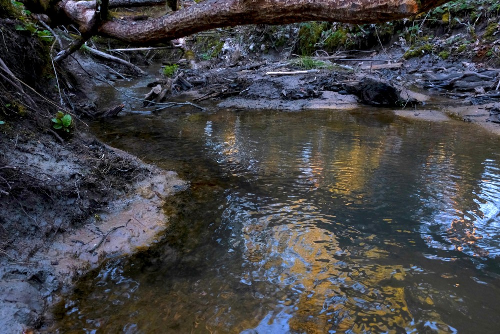 Stream