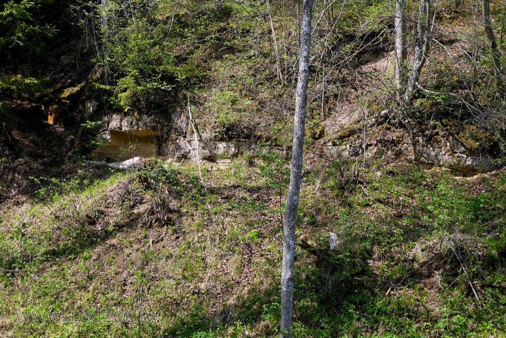 Vilce Sandstone Outcrop near Zaķi meadow