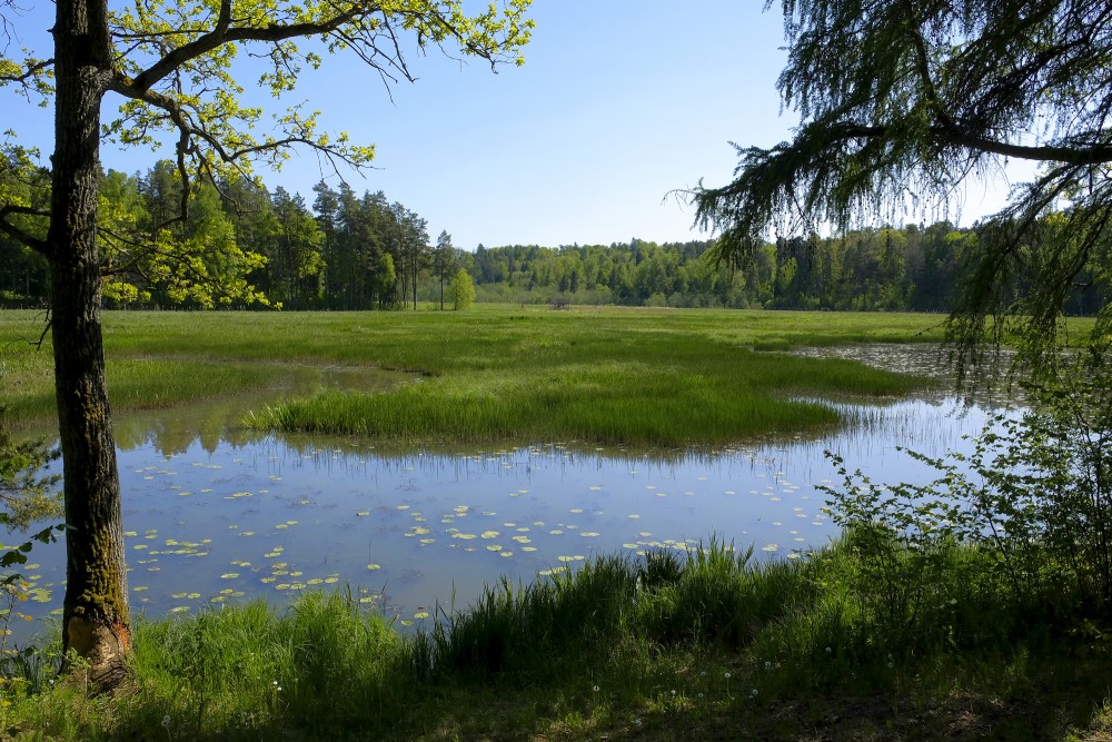 Skats uz Aloksti Kazdangas parkā