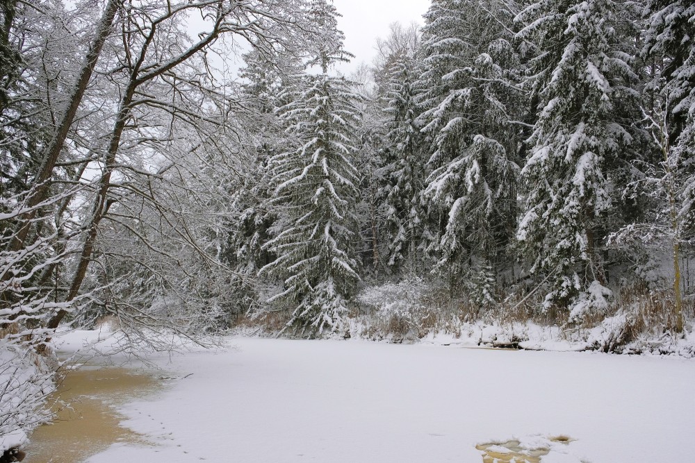 Roja River in Winter