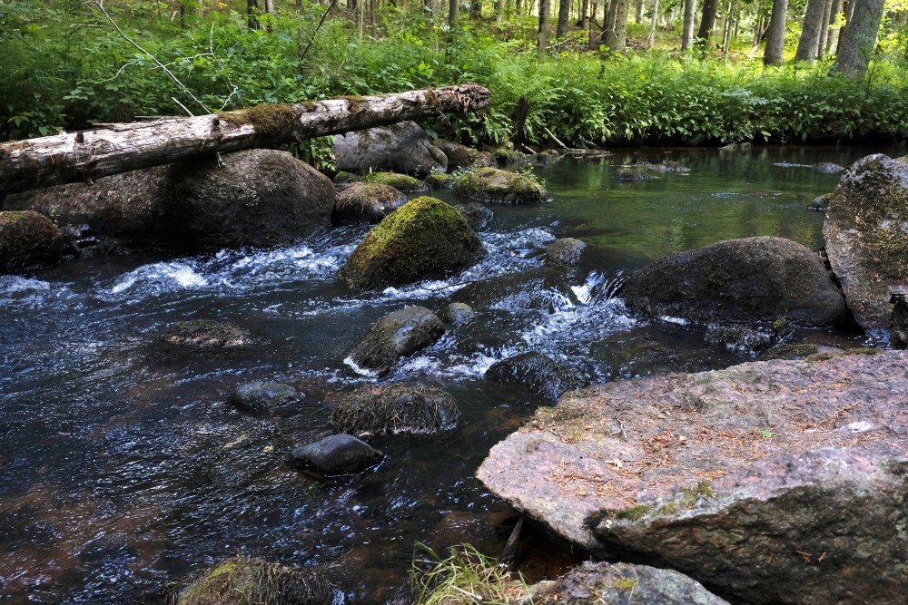 Līgatnes upe, Līgatnes upes dabas taka