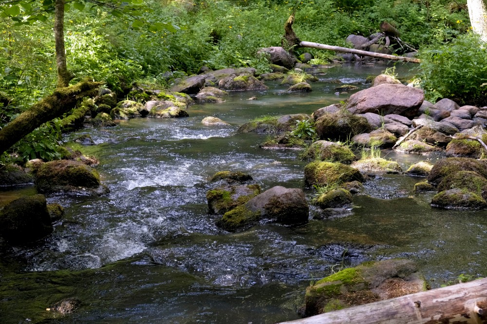 Līgatnes upe, Līgatnes upes dabas taka