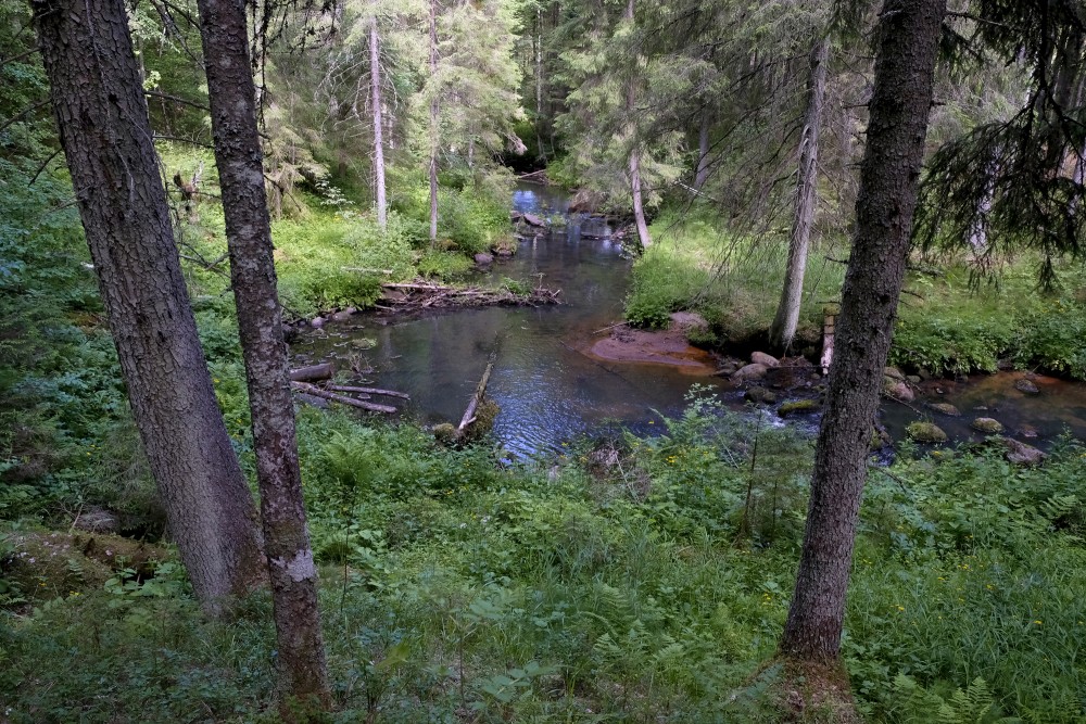 Līgatnes upe, Līgatnes upes dabas taka