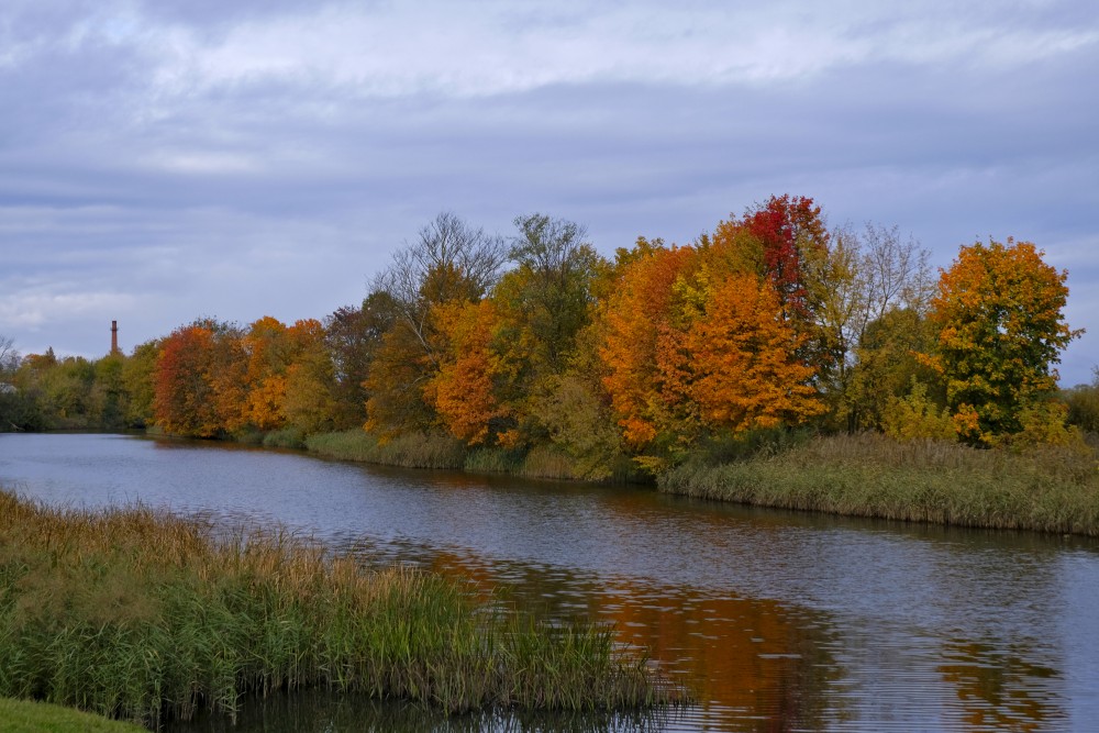 Rudens Driksas krastā