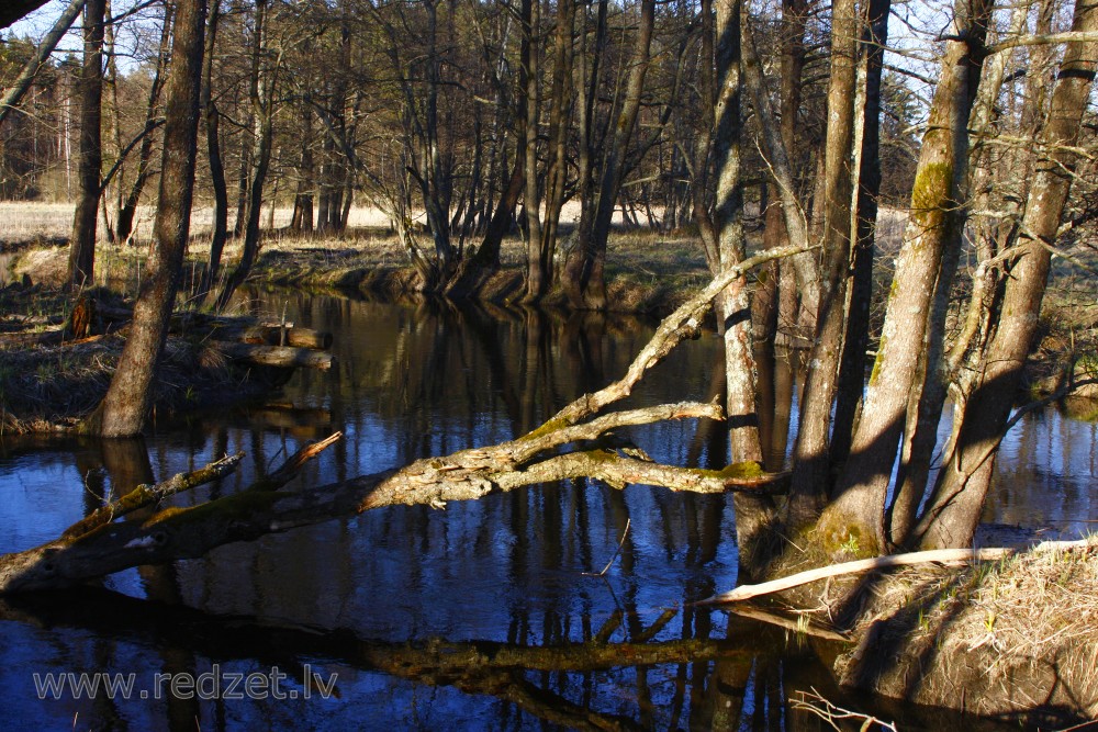 Engure River near Ugāle, Latvia