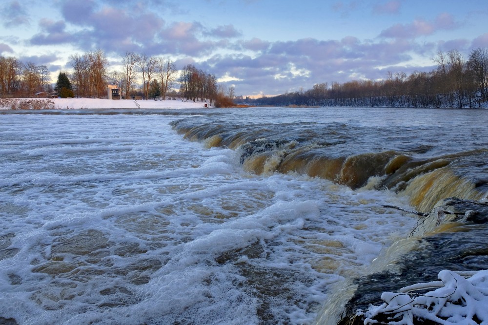 Venta Rapid in January