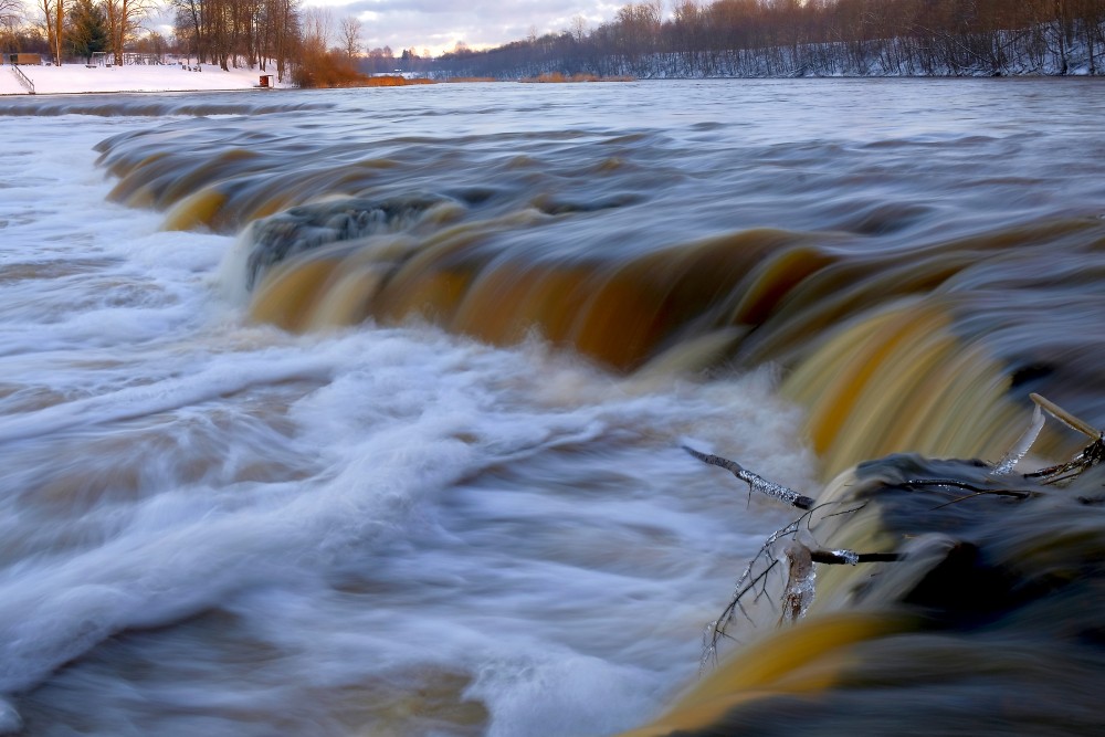 Venta Rapid in January