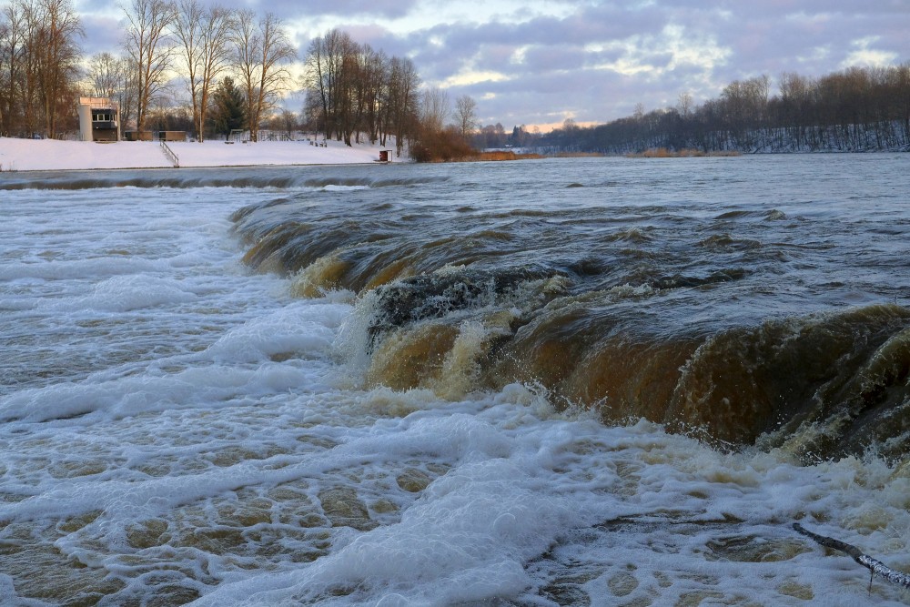 Venta Rapid in January