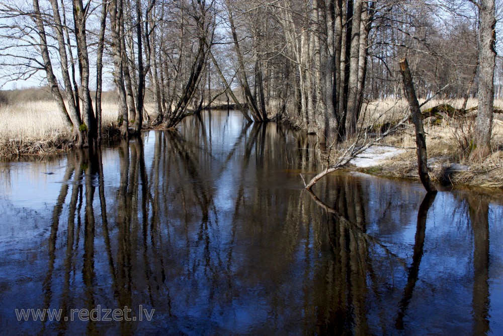 Engure River in Spring