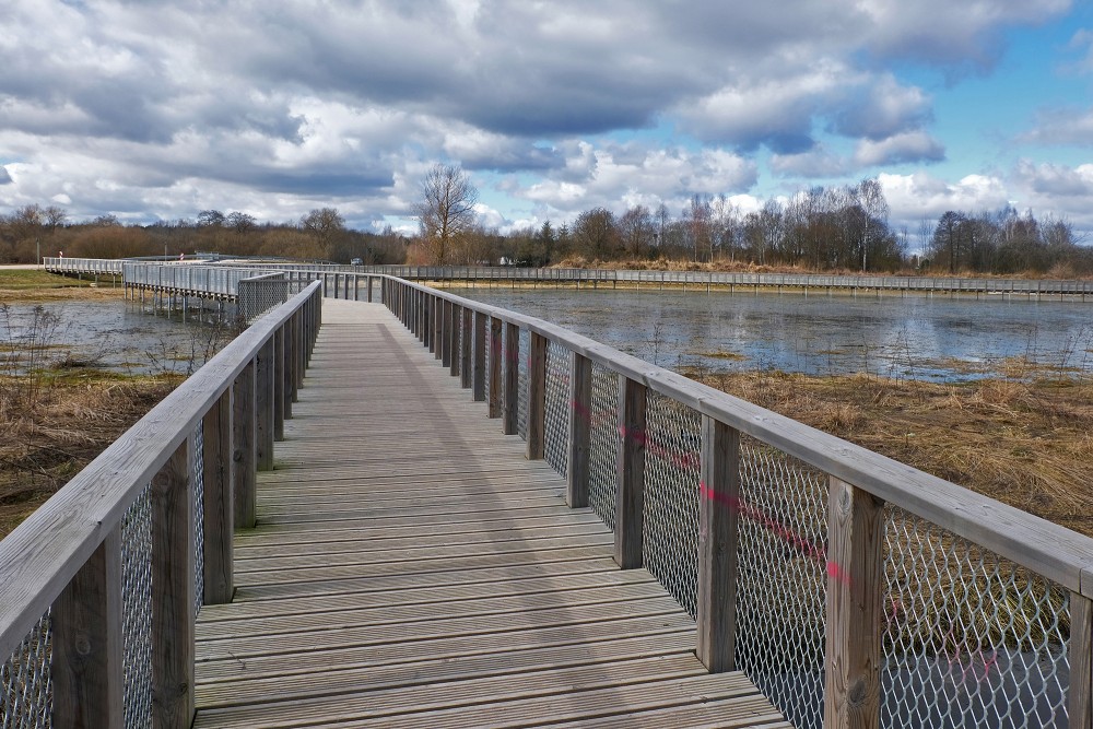 Longest Footbridge of Meadows of Svete Floodplain