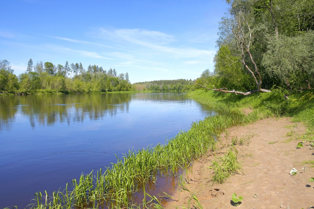 Gauja netālu no Vangažiem