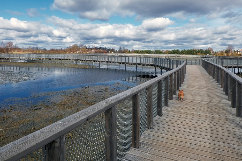 Longest Wooden Boardwalk of Svēte Floodplain Meadows
