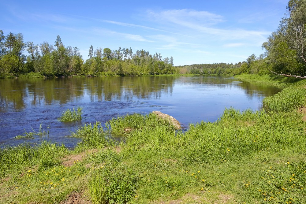 Gauja netālu no Vangažiem