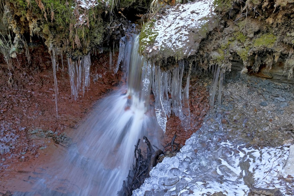 Lāstekas pie Zārtapu ūdenskrituma Lāstekas pie Zārtapu ūdenskrituma