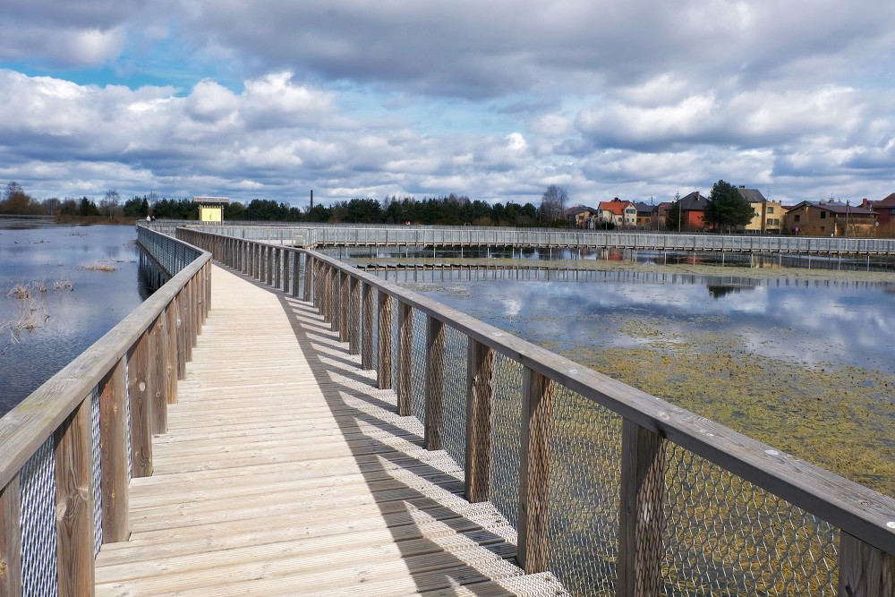 Wooden Boardwalk in Meadows of Svete Floodplain