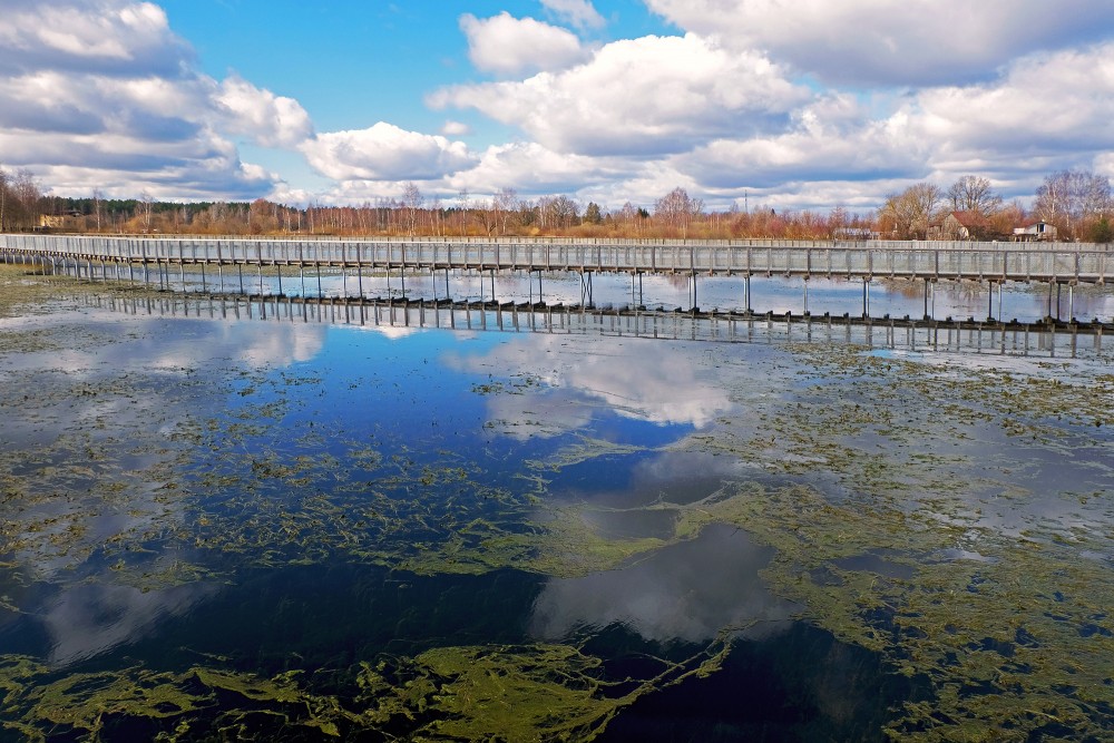 Reflection of Sky in Flooded Meadows of Svēte Floodplain