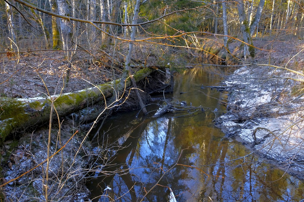 Pilsupe River in Spring