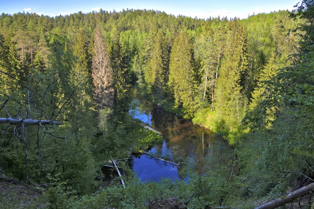 Brasla Landscape as seen from Slūnu Rock
