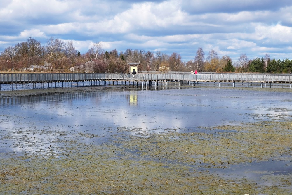 Spring Floods in Meadows of Svēte Floodplain