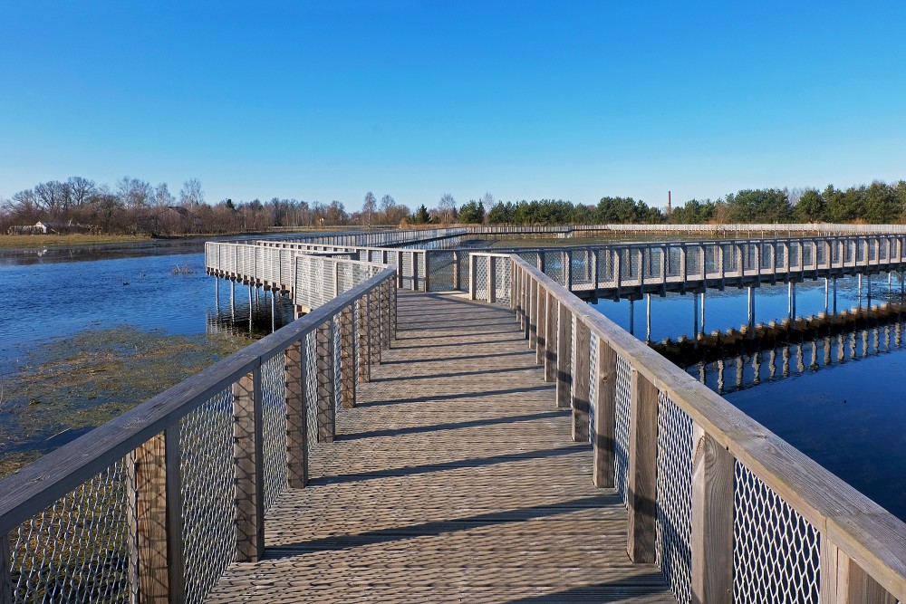 Svēte Floodplain Meadow Boardwalk near Svēte Vecupe