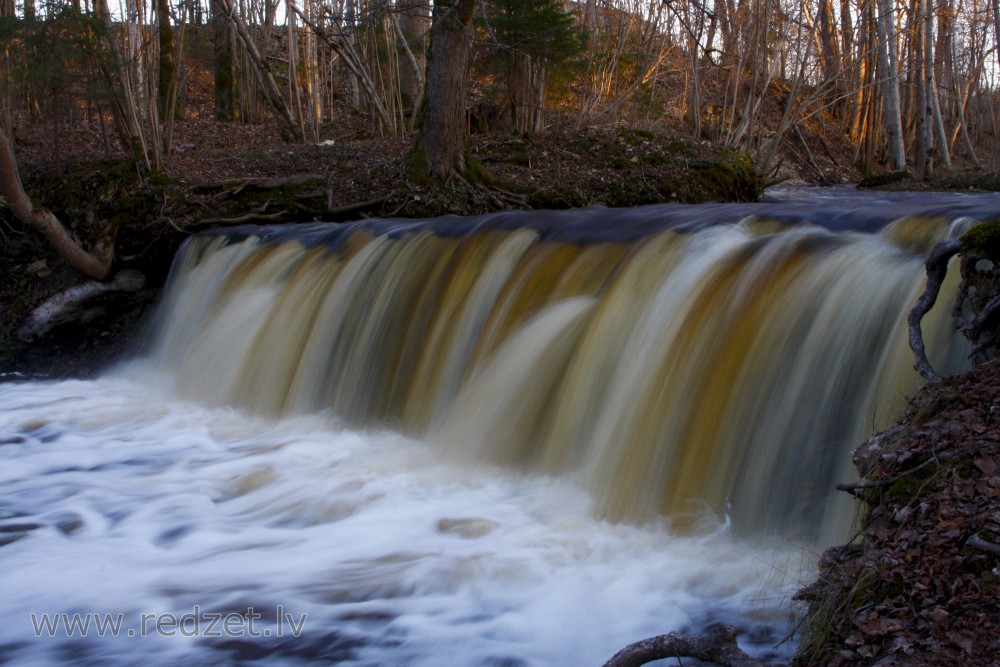 Īvandes rumba pavasarī