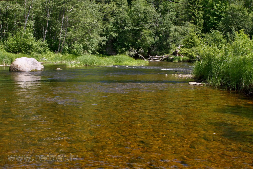 Amata aiz Zvārtes ieža