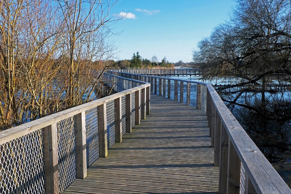 Shortest Footbridge of Svēte Floodplain Meadow