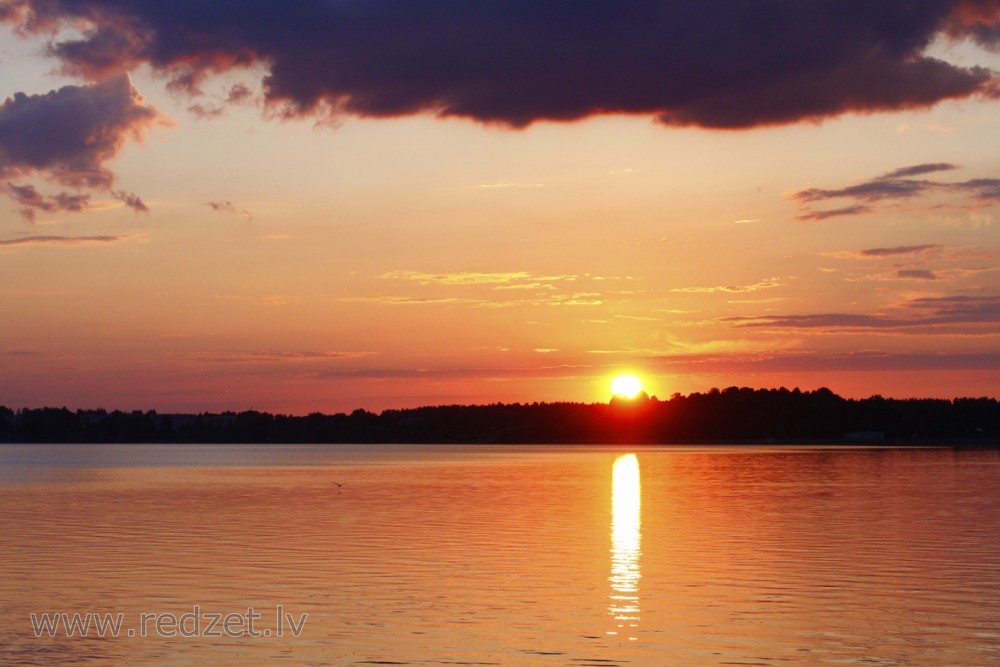 Saulriets Daugavā