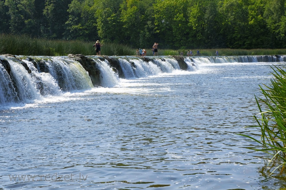 Venta Rapid in summer