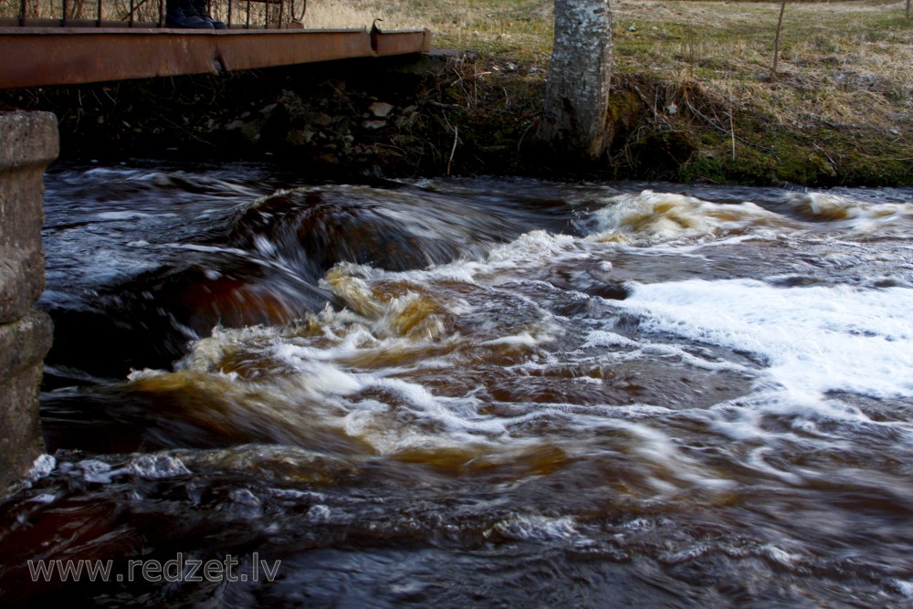 River in Spring