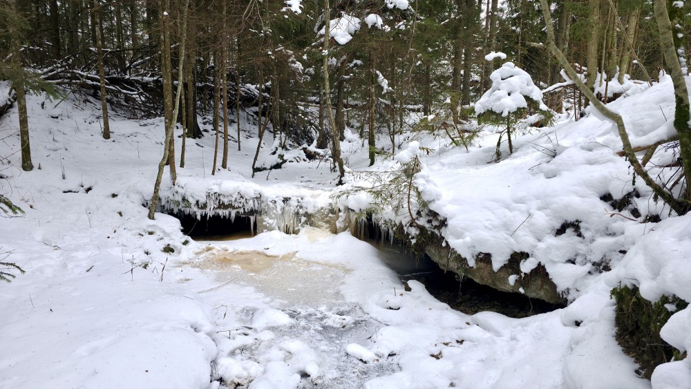 Frozen Oļupīte waterfall in a forest ravine during winter Frozen Oļupīte waterfall in a forest ravine during winter