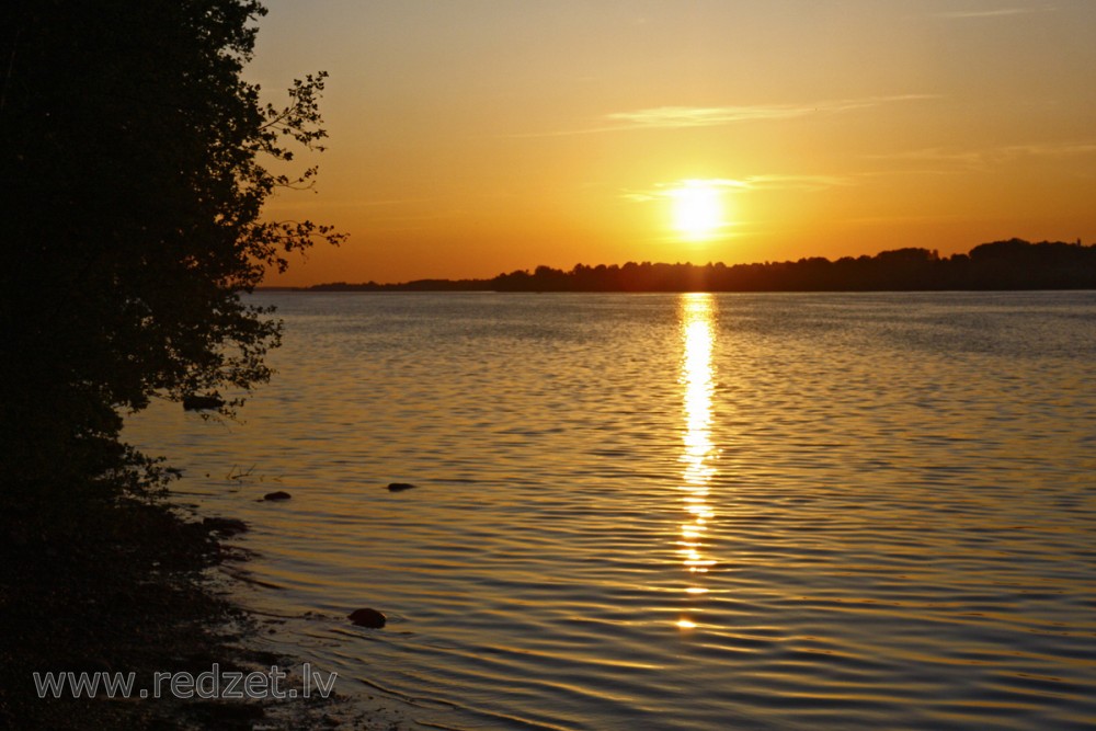 Saulriets Daugavā