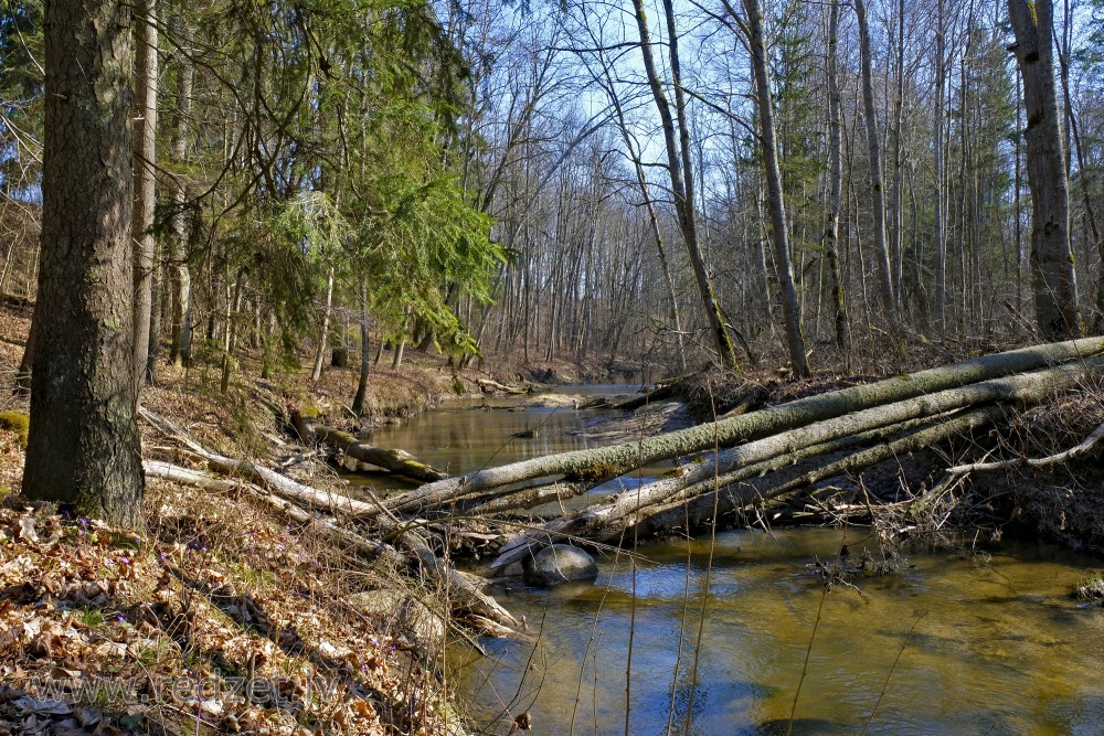 River Vilce in Vilce Ravine