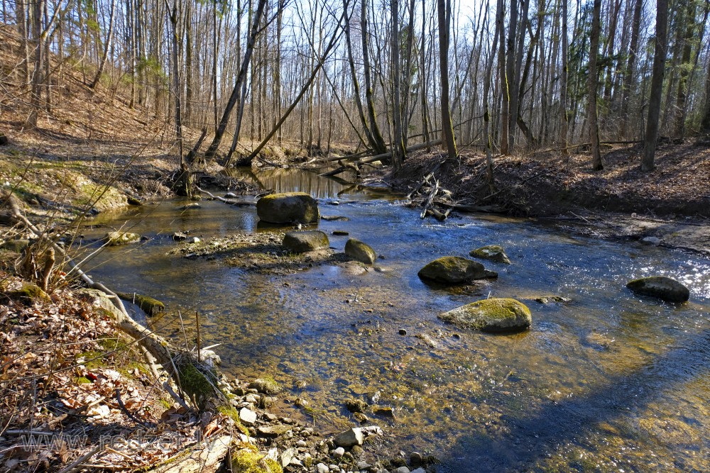 River Vilce in Vilce Ravine