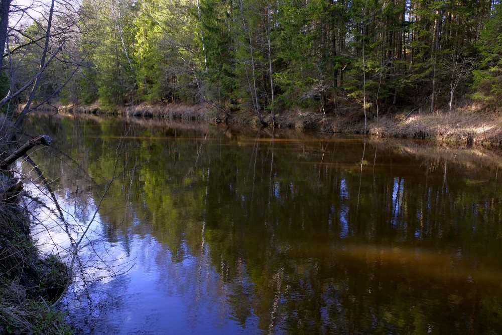 Roja River In Spring