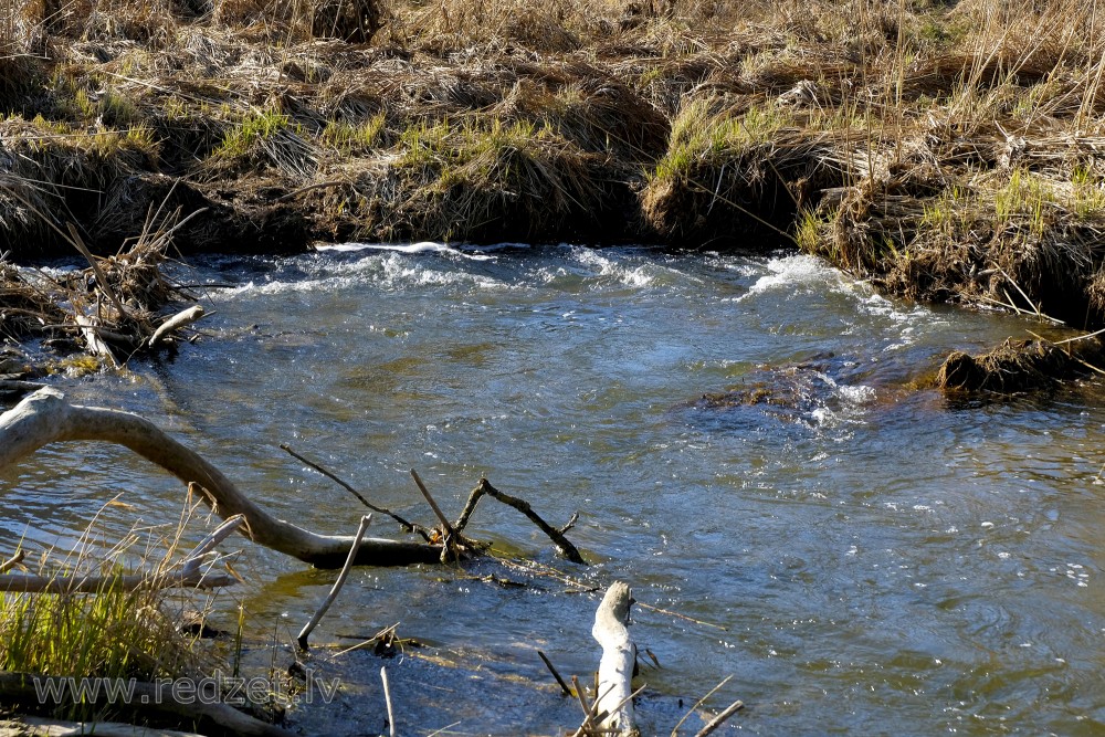 River Vilce Overcomes Obstacles