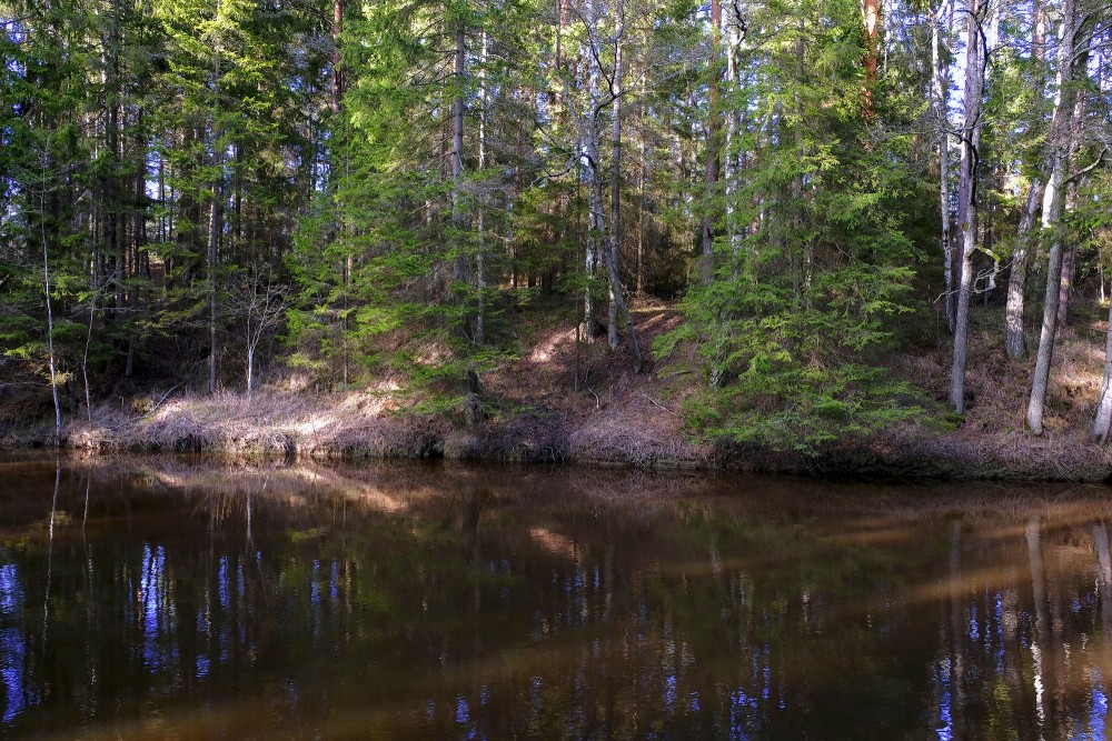Roja River In Spring