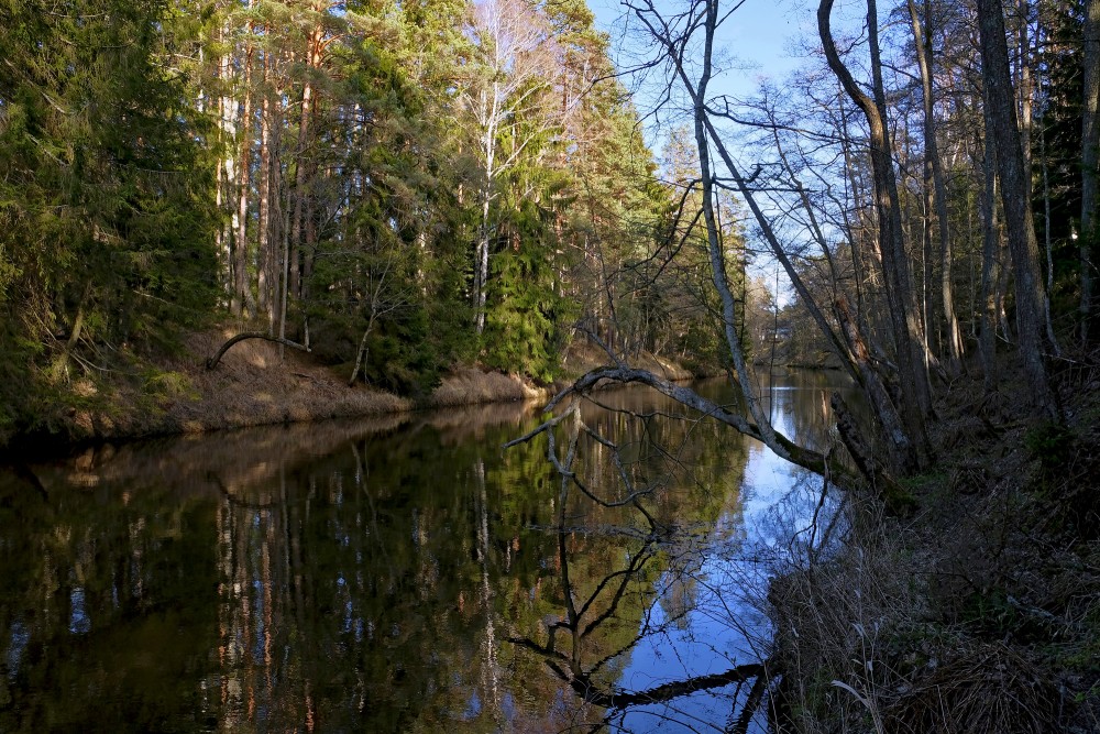 Roja River In Spring