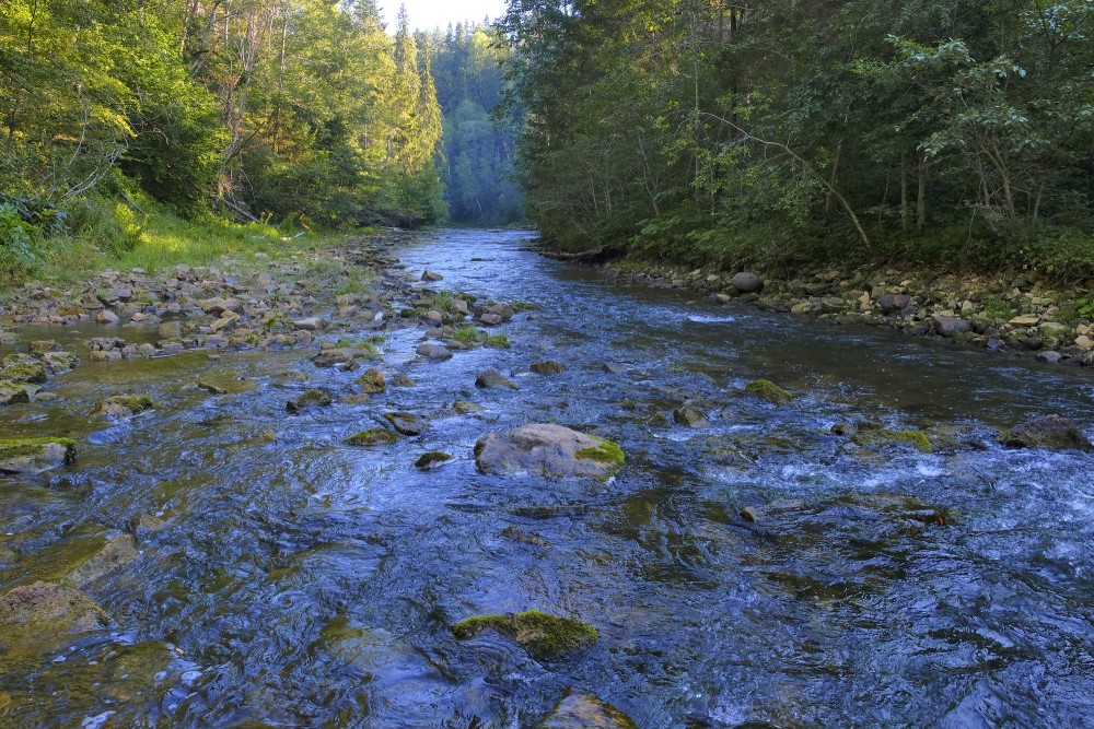 Amata pie Vizuļu ieža