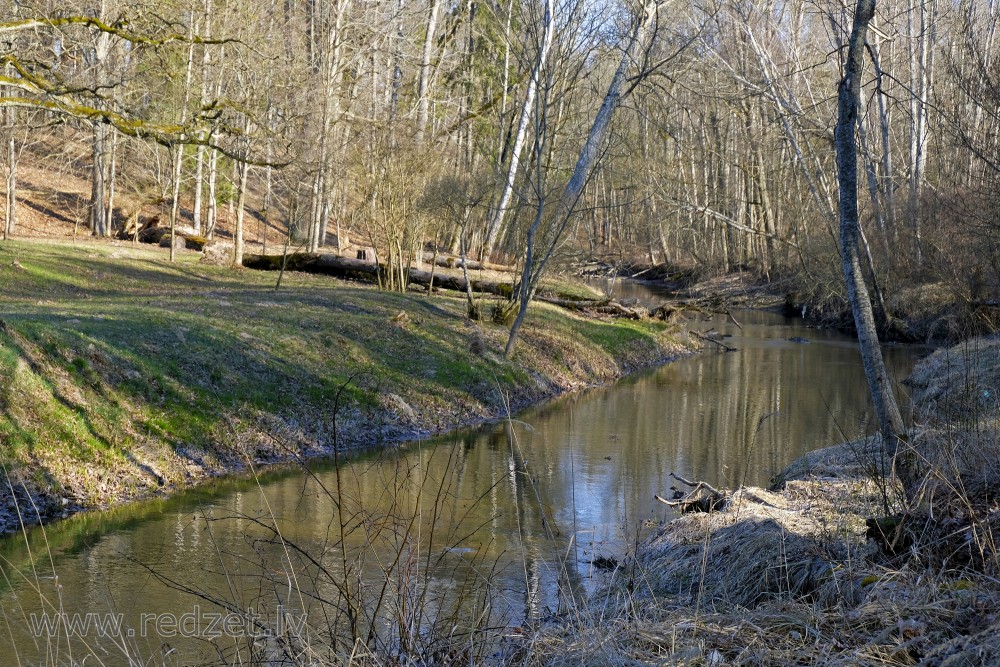 River Vilce in Vilce Ravine