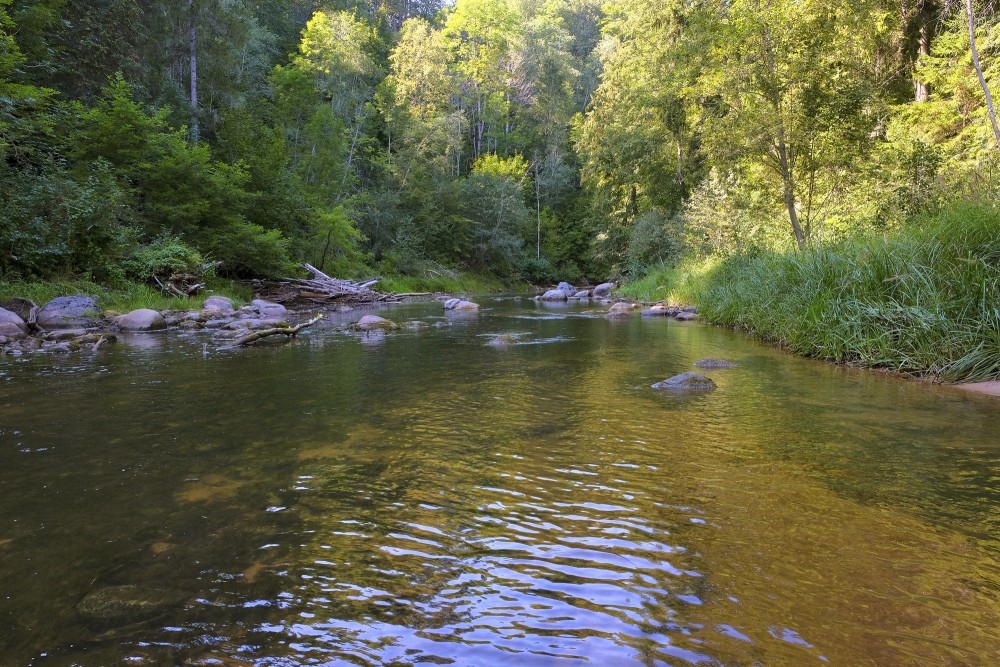 Amata Incēnu kraujas tuvumā Amata Incēnu kraujas tuvumā