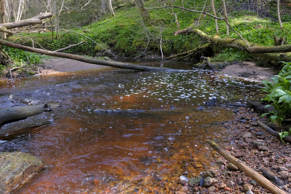 Lorumupe River