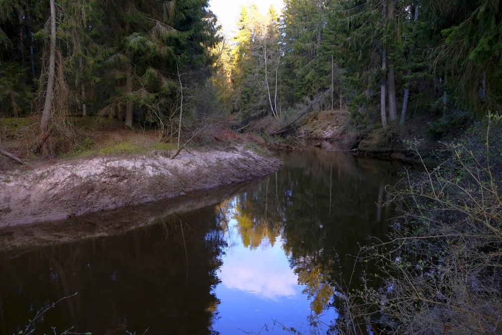 Roja River In Spring