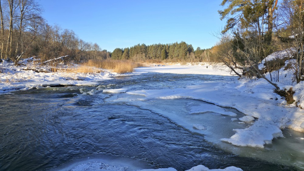 Abava ziemā ar ledu un sniegotiem krastiem saulainā dienā