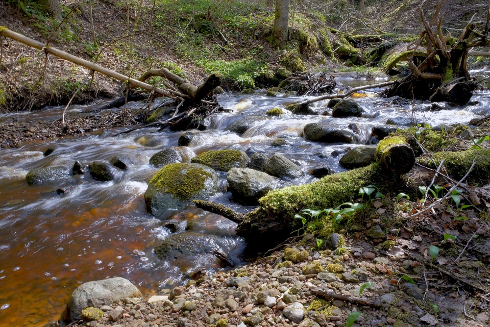 Lorumupe River Flows over Rocks