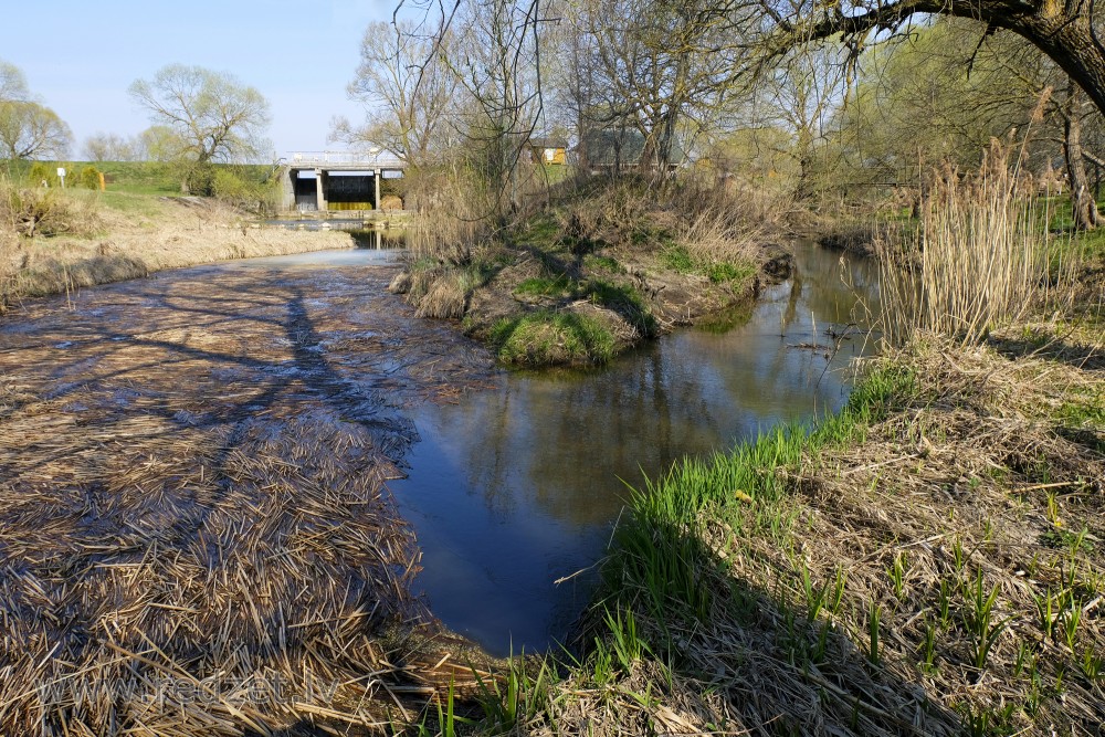 Skujaine Estuary in Tervete