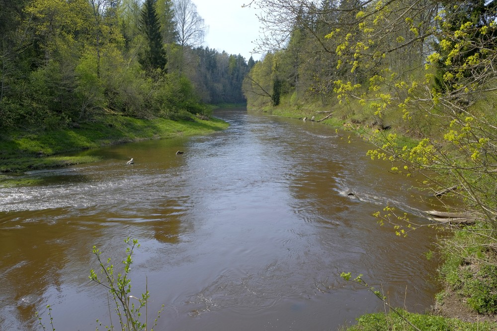Abavas pavasara ainava