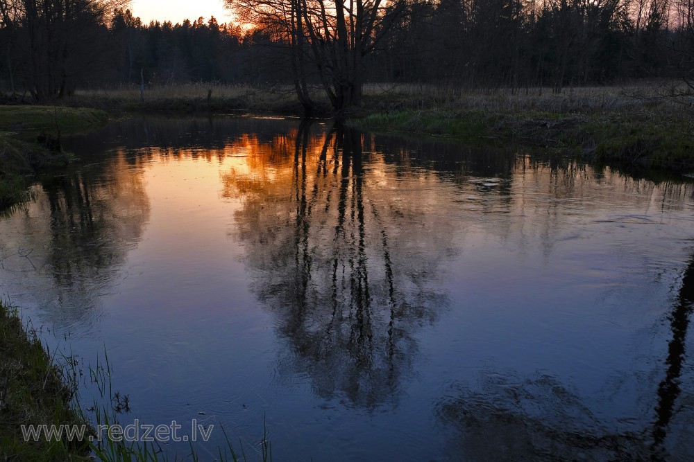 Engure River at Sunset in Spring