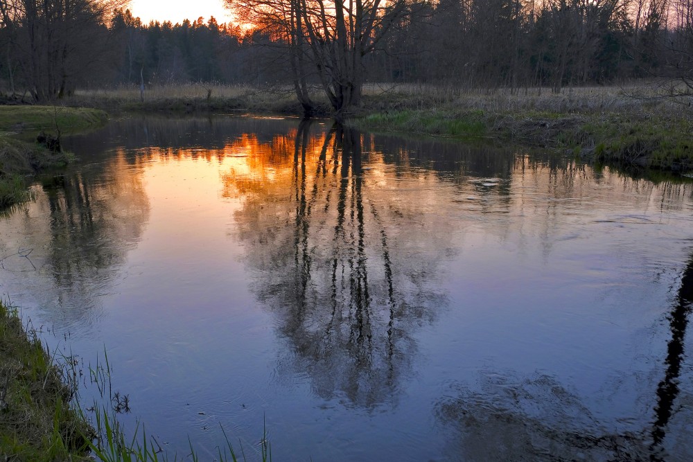 Engures upe saulrietā, pavasarī