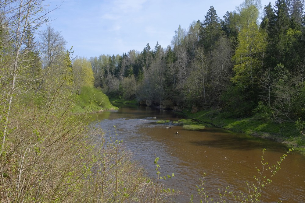 Muižarāju klintis